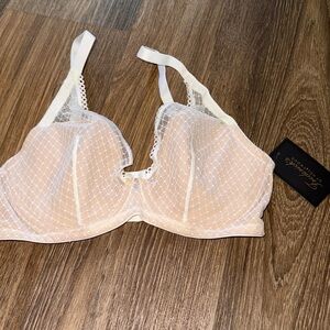 Frederick’s of Hollywood Elsie hi apex mesh u wire FF NWT